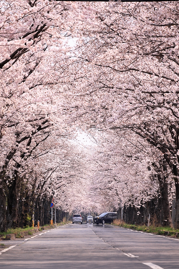 2026�N4����